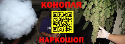 индика Моздок