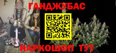 индика Моздок