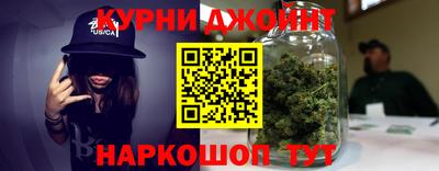 индика Моздок