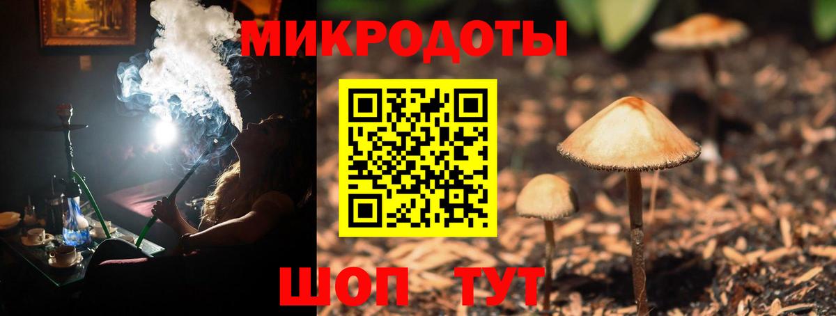 Галлюциногенные грибы Psilocybine cubensis  Вход с VPN  Псилоцибиновые грибы Cubensis  Учалы 